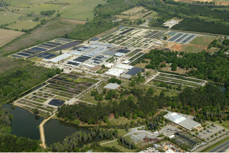 Southern Growers - Southern Growers Wholesale Nursery & Greenhouse